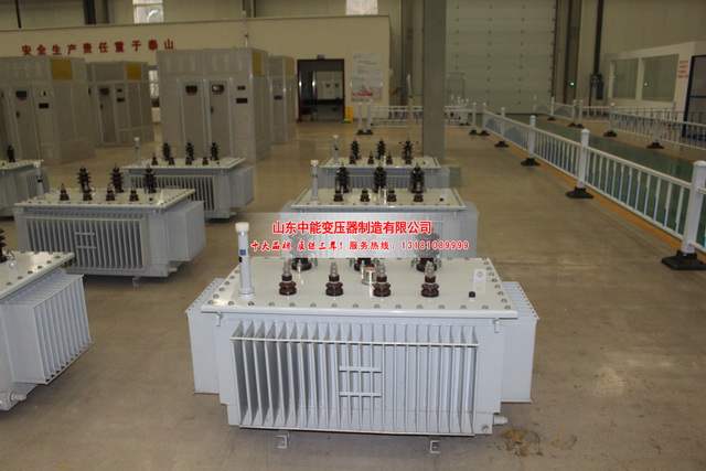 仲巴S20变压器